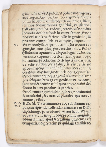 c. B6v