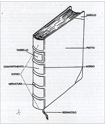 fig. I