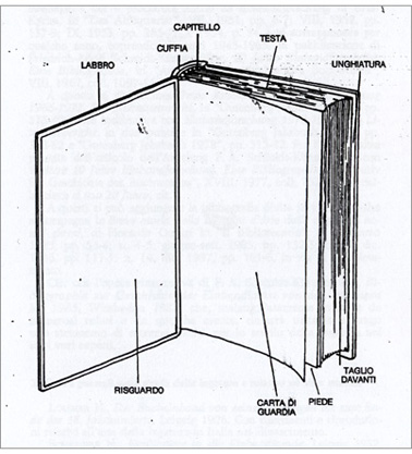 fig. II