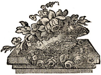 particolare della vignetta sul front.