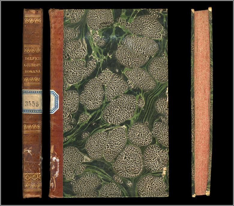 dorso, piatto  e taglio anteriori