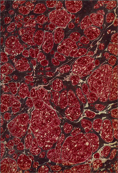 carta di guardia anteriore del vol. 1