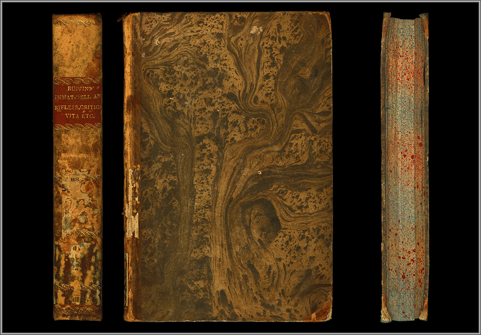 dorso, piatto e taglio anteriore