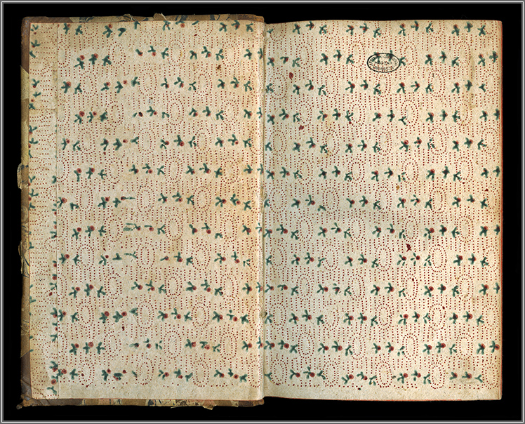 Controguardia e carta di guardia anteriori