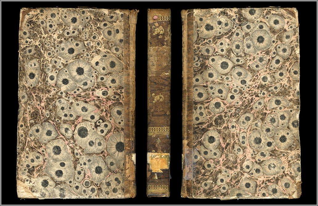 i due piatti e il dorso