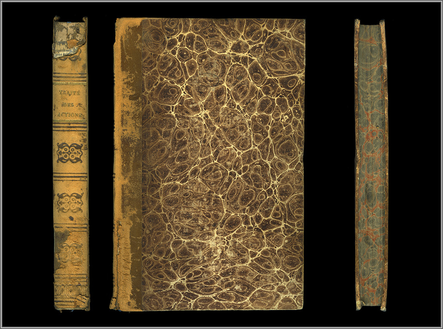 dorso, piatto e taglio anteriori