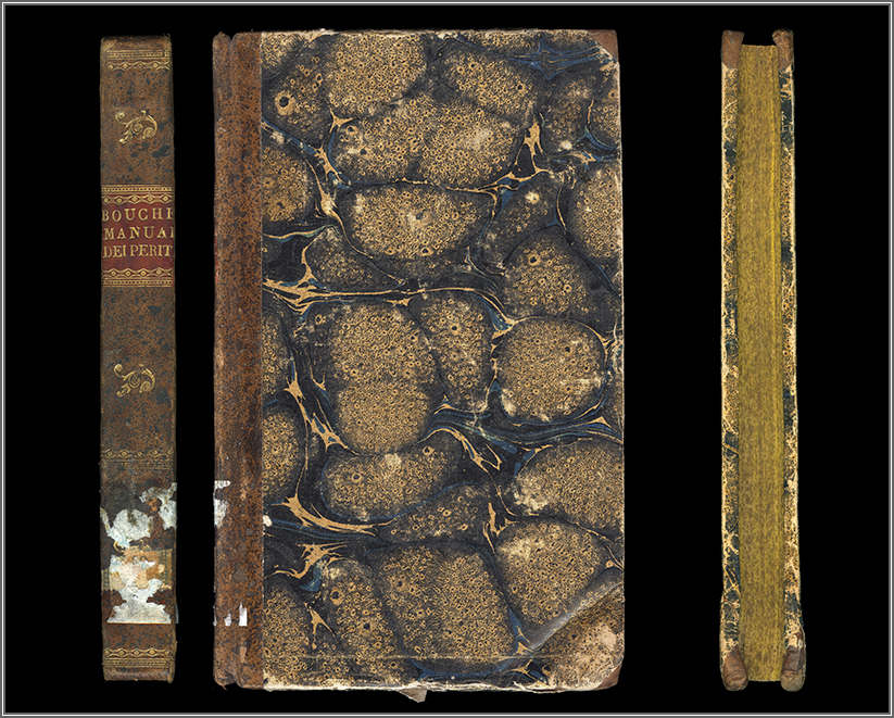 dorso, piatto e taglio anteriore