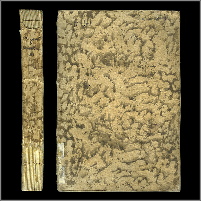 dorso e piatto anteriore