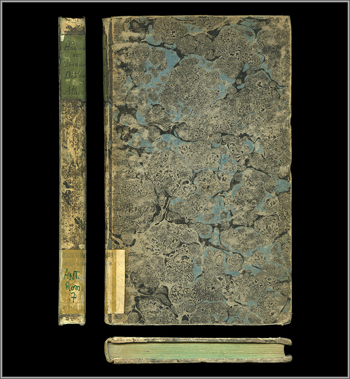 dorso, piatto anteriore e taglio di piede