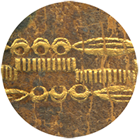 particolare dal dorso di Ant.St.Dir.It. 0006