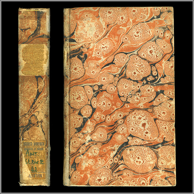 dorso e piatto anteriore