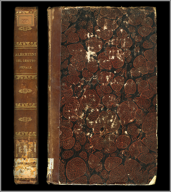 dorso e piatto anteriore