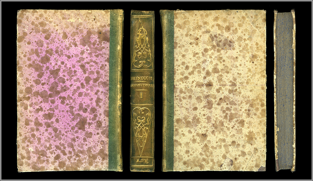 piatto posteriore, dorso, piatto e taglio anteriore