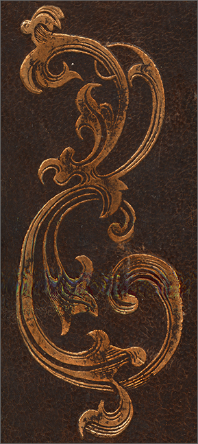 ferro fitomorfo a nastro, dal dorso della legatura