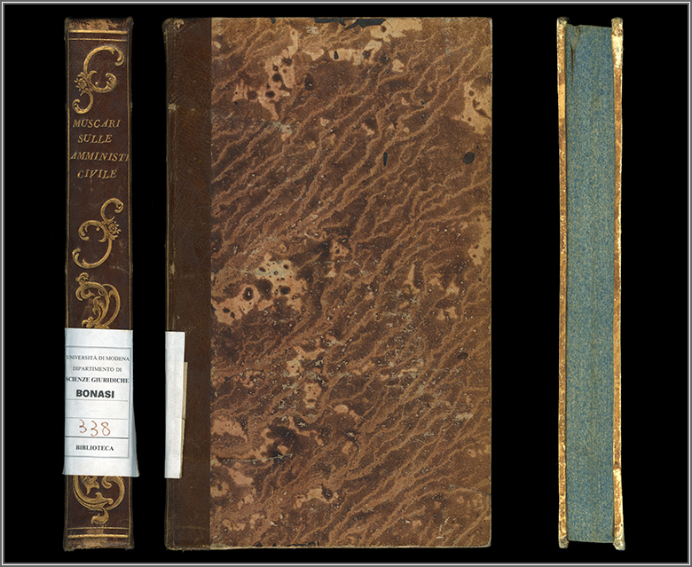 dorso, piatto e taglio anteriori