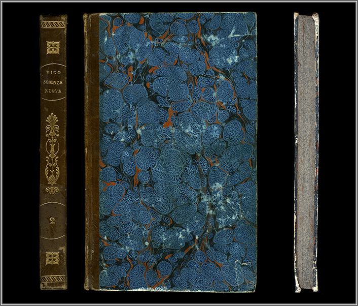 dorso e piatto anteriore