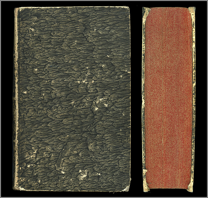 piatto e taglio anteriore