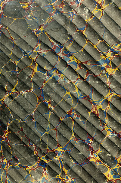 piatto ant. del vol. 1