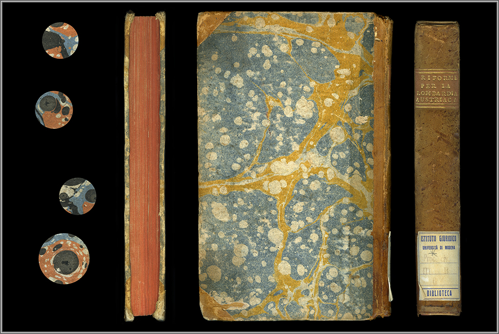 taglio anteriore, piatto posteriore e dorso, con particolari dal contropiatto posteriore