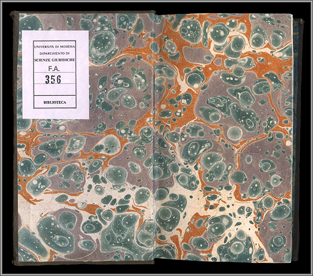 Controguardia e carta di guardia anteriori