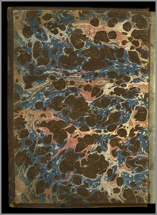 controguardia anteriore controguardia anteriore