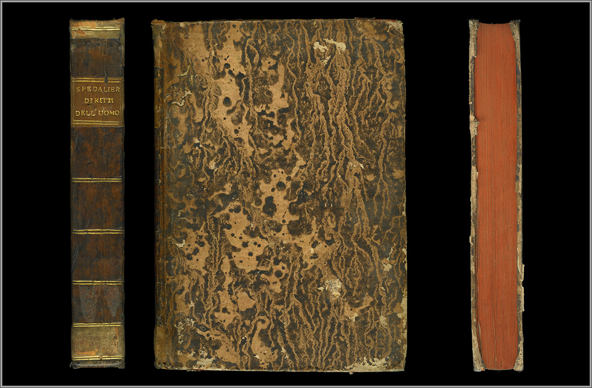 dorso, piatto e taglio anteriori