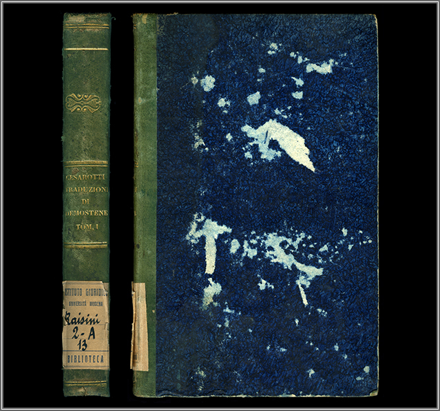 dorso e piatto anteriore