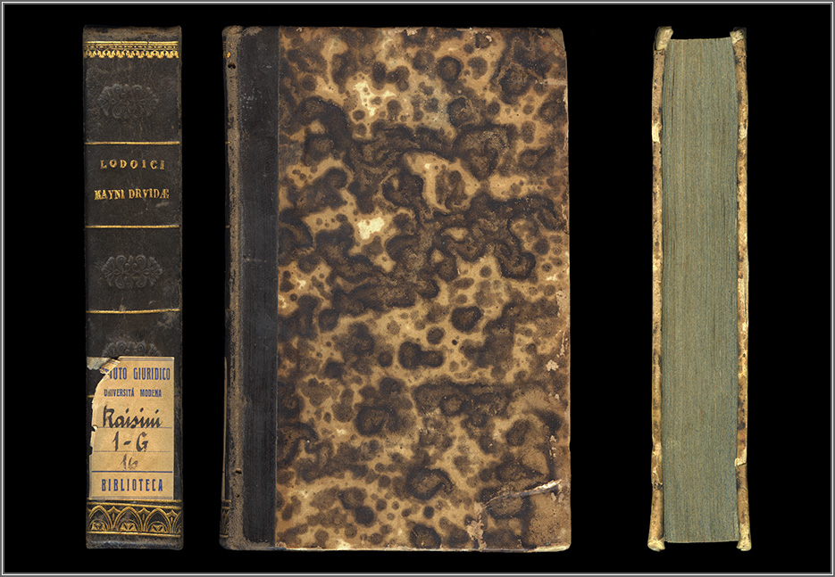 dorso, piatto e taglio anteriori