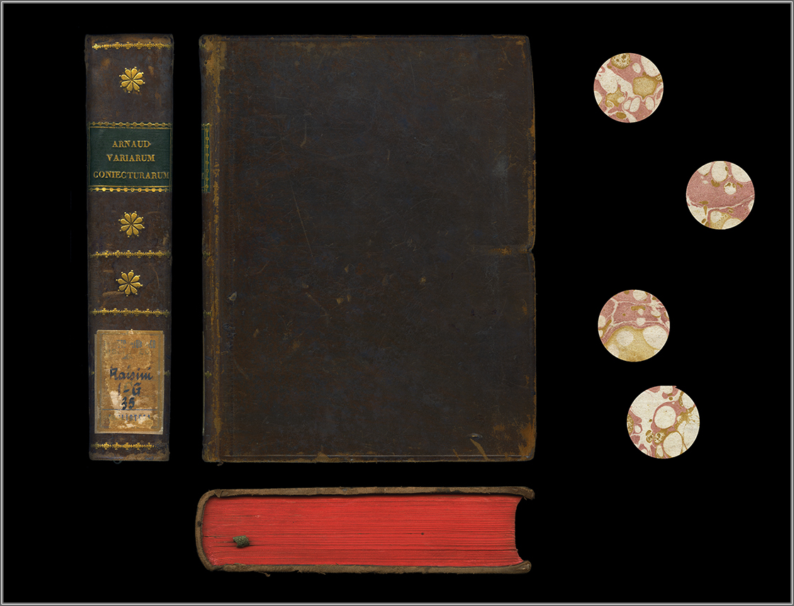 dorso, piatto anteriore, taglio di piede e particolari dalle carte di guardia