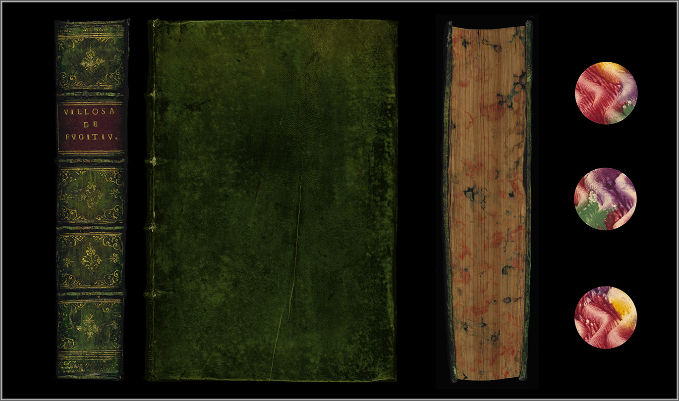 dorso, piatto e taglio anteriori, con particolari dalla controguardia