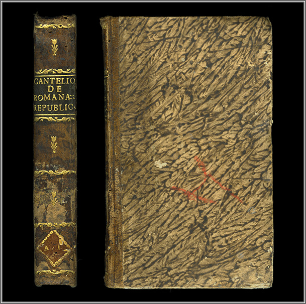 dorso e piatto anteriore