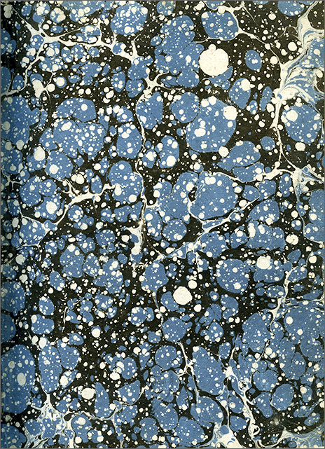 controguardia posteriore