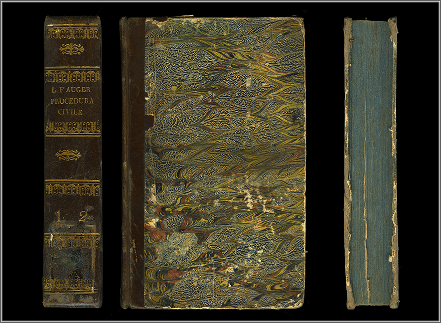 dorso, piatto e taglio anteriori