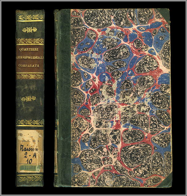 dorso e piatto anteriori