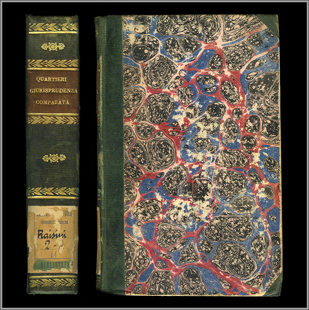 dorso e piatto ant. dorso e piatto ant.