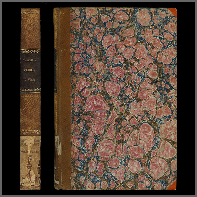 dorso e piatto anteriore