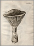 Cent. IV., tab. I