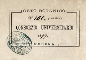 cartellino OBCUM-1879 con inv.
