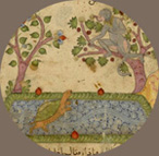 scimmia e tartaruga, ms. egiziano o siriano, sec. XIII