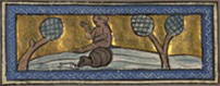 scimmia e tartaruga, R. de Béziers, ms. lat., sec. XIV (Parigi, BnF)