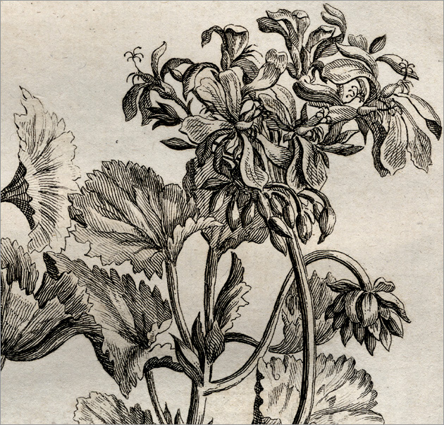 particolare della Fig. 1 particolare della Fig. 1