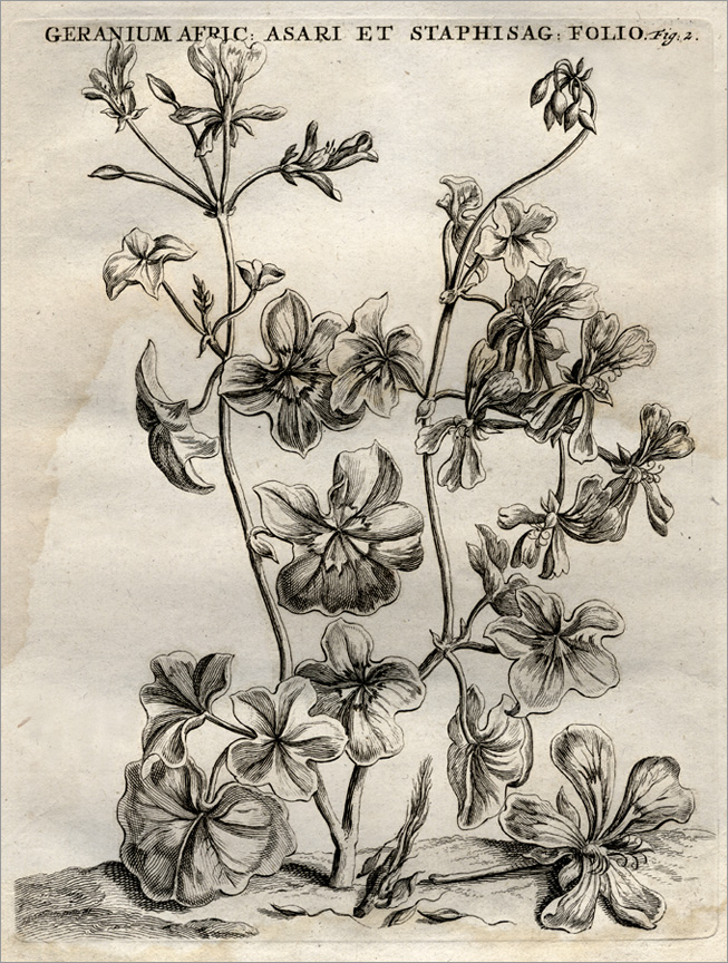Fig. 2 Fig. 2