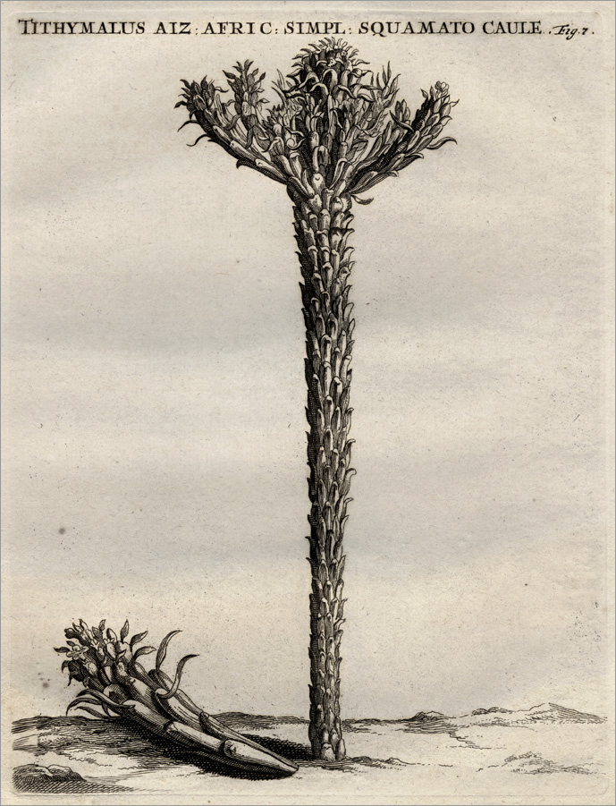 Fig. 7 Fig. 7