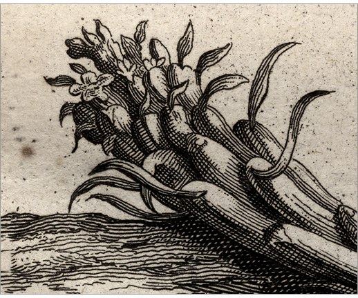Fig. 7 Fig. 7