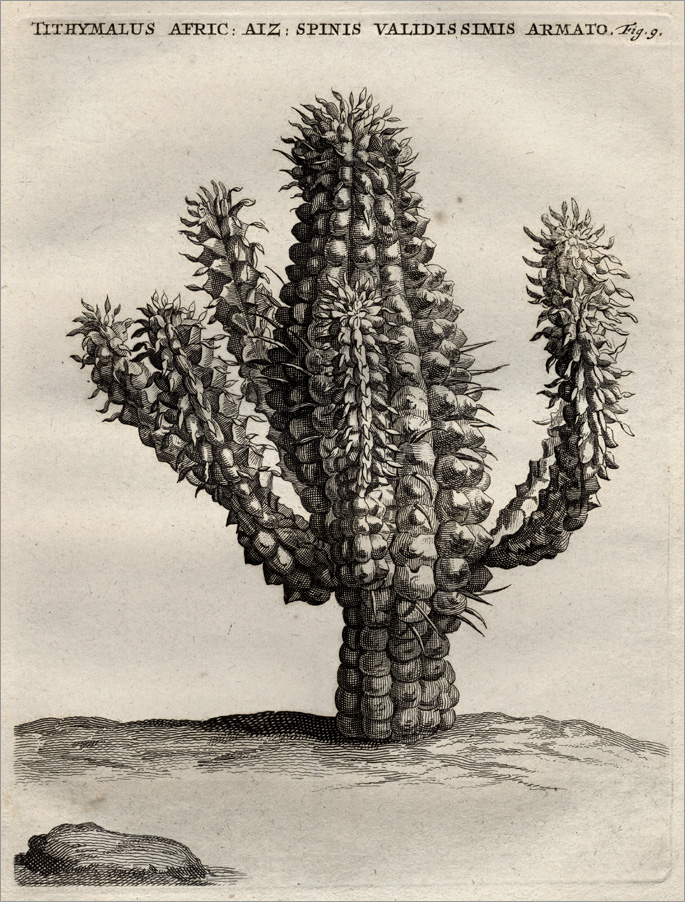 Fig. 9 Fig. 9