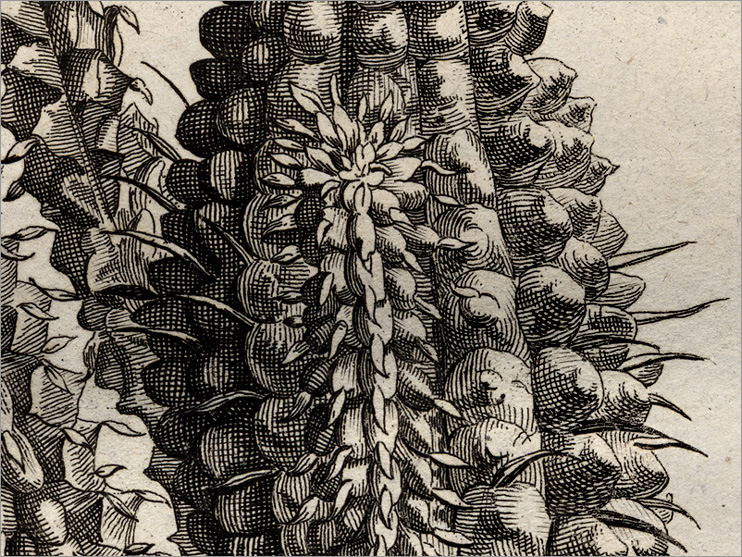 particolare della Fig. 9 particolare della Fig. 9