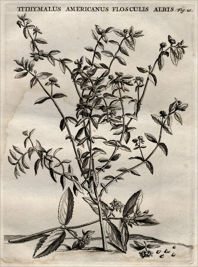 Fig. 10 Fig. 10