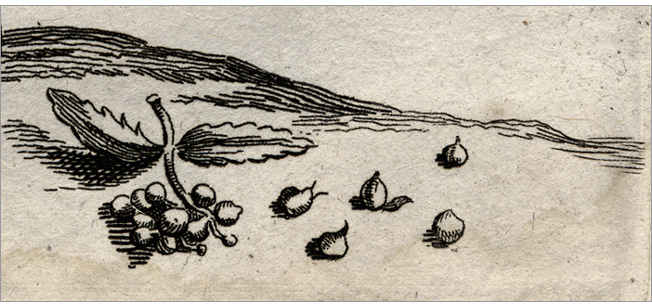 particolare della Fig. 10 particolare della Fig. 10