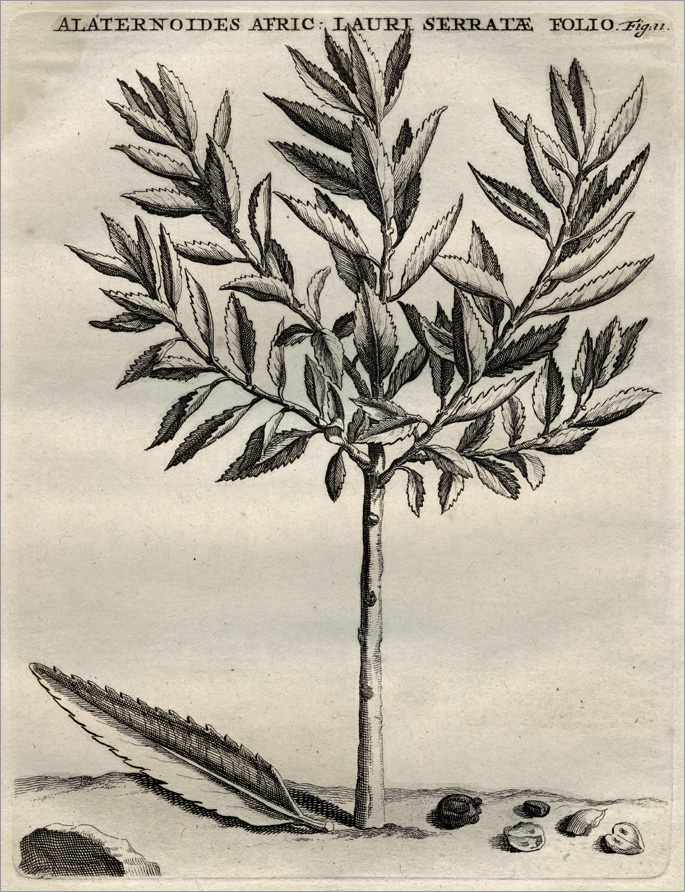 Fig. 11 Fig. 11