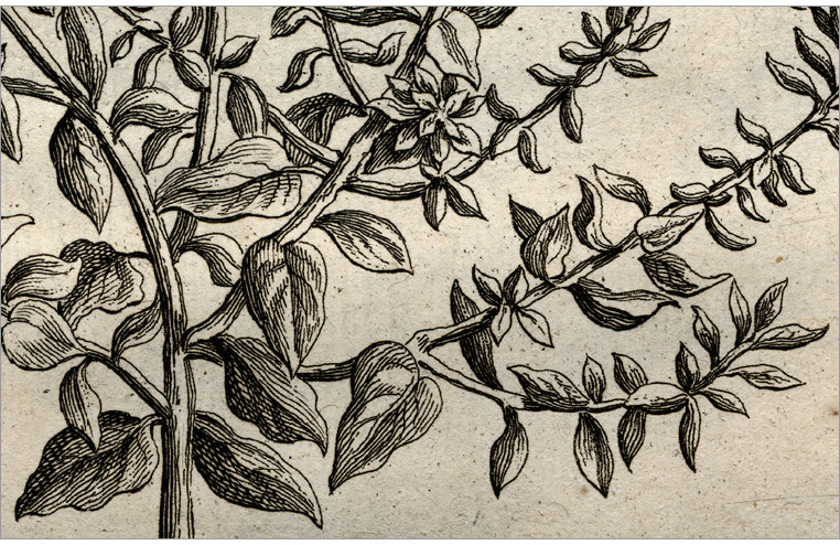 particolare della Fig. 12 particolare della Fig. 12